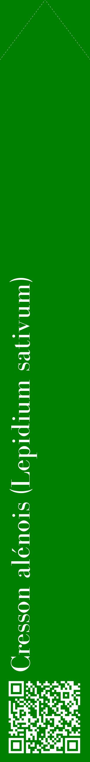 Étiquette de : Lepidium sativum - format c - style blanche9_simplebod avec qrcode et comestibilité