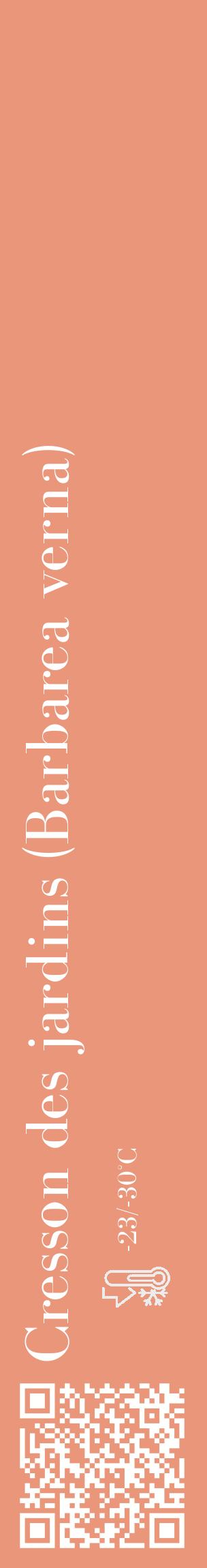 Étiquette de : Barbarea verna - format c - style blanche37_basique_basiquebod avec qrcode et comestibilité - position verticale