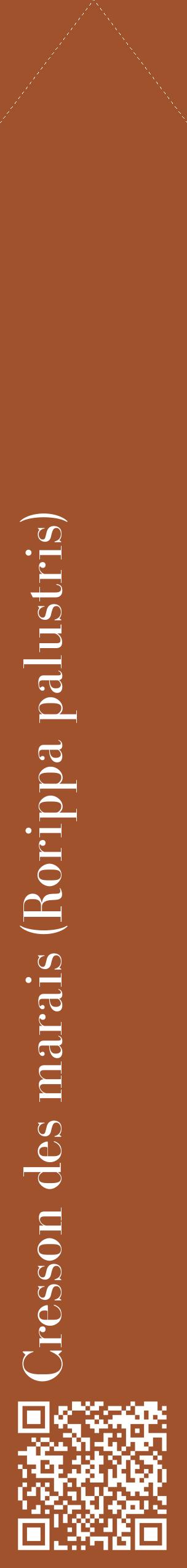 Étiquette de : Rorippa palustris - format c - style blanche32_simplebod avec qrcode et comestibilité