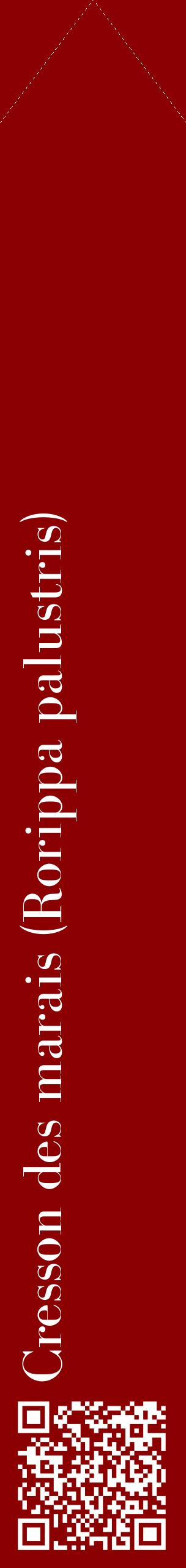 Étiquette de : Rorippa palustris - format c - style blanche34_simplebod avec qrcode et comestibilité