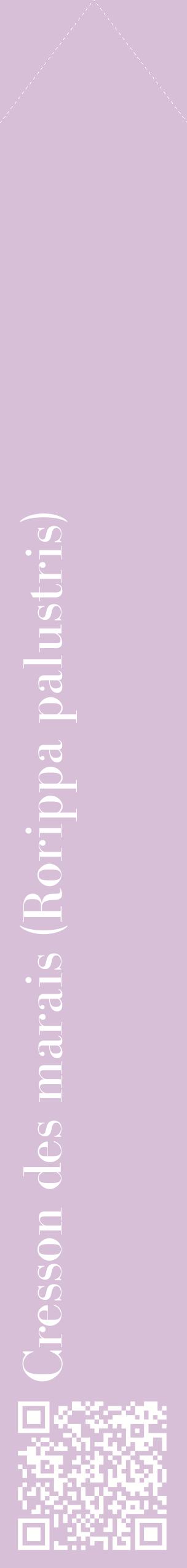 Étiquette de : Rorippa palustris - format c - style blanche54_simplebod avec qrcode et comestibilité