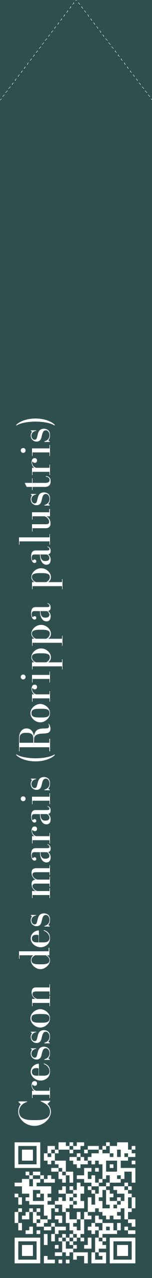 Étiquette de : Rorippa palustris - format c - style blanche58_simplebod avec qrcode et comestibilité