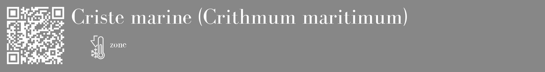Étiquette de : Crithmum maritimum - format c - style blanche12_basique_basiquebod avec qrcode et comestibilité