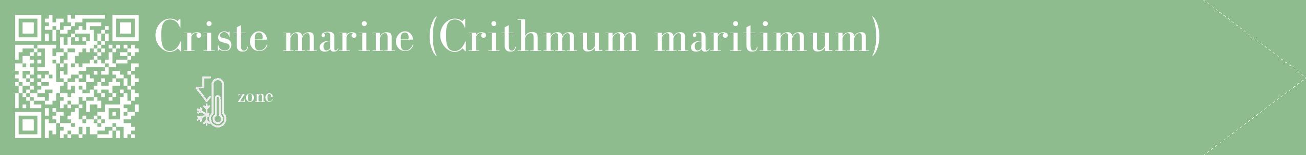 Étiquette de : Crithmum maritimum - format c - style blanche13_simple_simplebod avec qrcode et comestibilité
