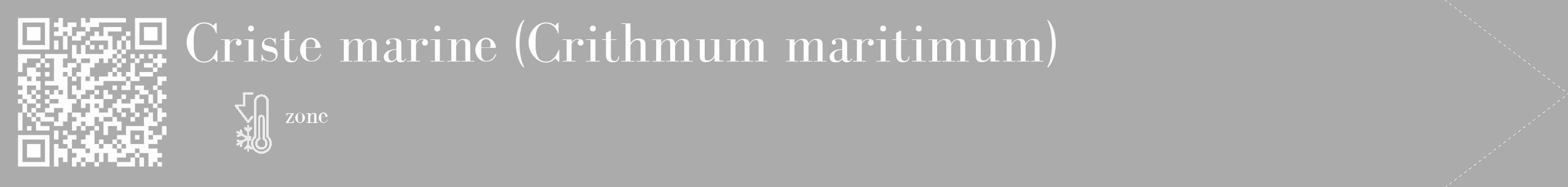 Étiquette de : Crithmum maritimum - format c - style blanche37_simple_simplebod avec qrcode et comestibilité
