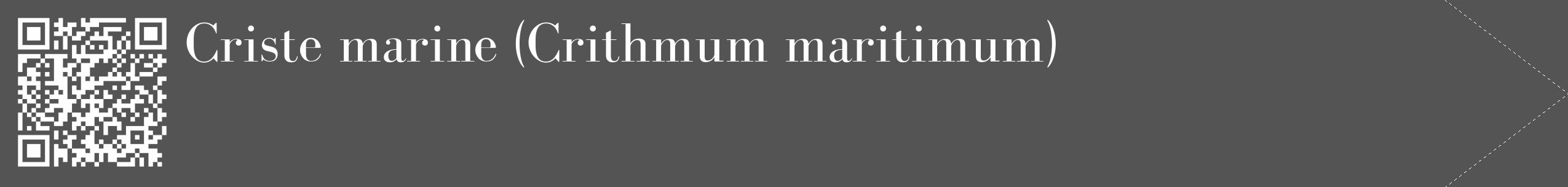 Étiquette de : Crithmum maritimum - format c - style blanche36_simple_simplebod avec qrcode et comestibilité