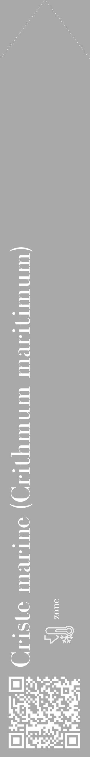 Étiquette de : Crithmum maritimum - format c - style blanche13_simple_simplebod avec qrcode et comestibilité - position verticale