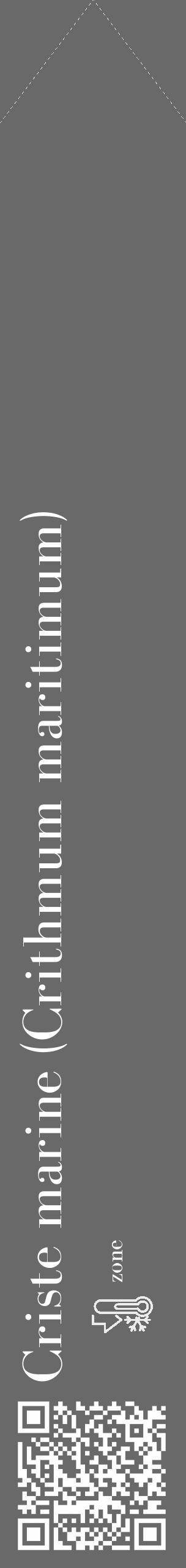 Étiquette de : Crithmum maritimum - format c - style blanche51_simple_simplebod avec qrcode et comestibilité - position verticale