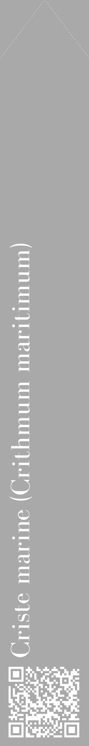 Étiquette de : Crithmum maritimum - format c - style blanche13_simple_simplebod avec qrcode et comestibilité - position verticale