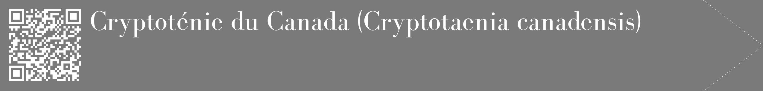 Étiquette de : Cryptotaenia canadensis - format c - style blanche3_simple_simplebod avec qrcode et comestibilité
