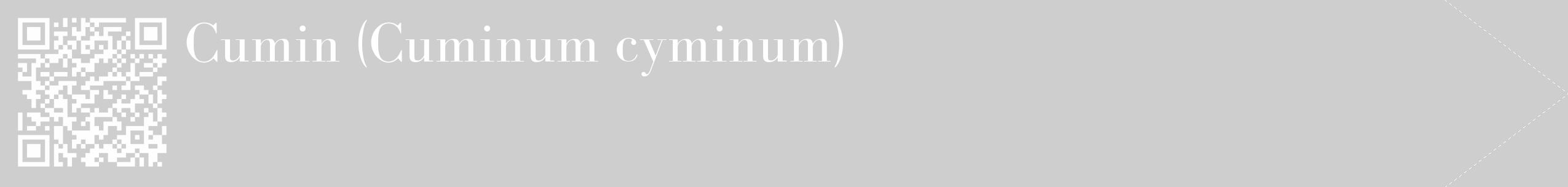 Étiquette de : Cuminum cyminum - format c - style blanche17_simple_simplebod avec qrcode et comestibilité