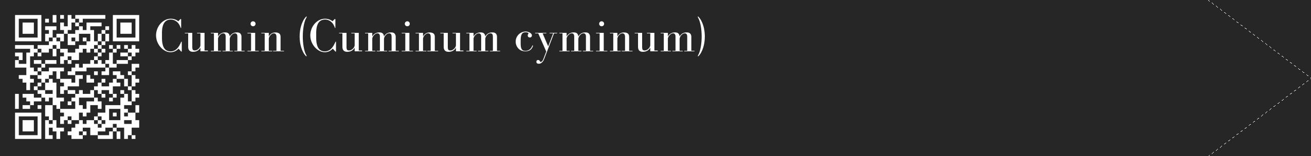 Étiquette de : Cuminum cyminum - format c - style blanche29_simple_simplebod avec qrcode et comestibilité