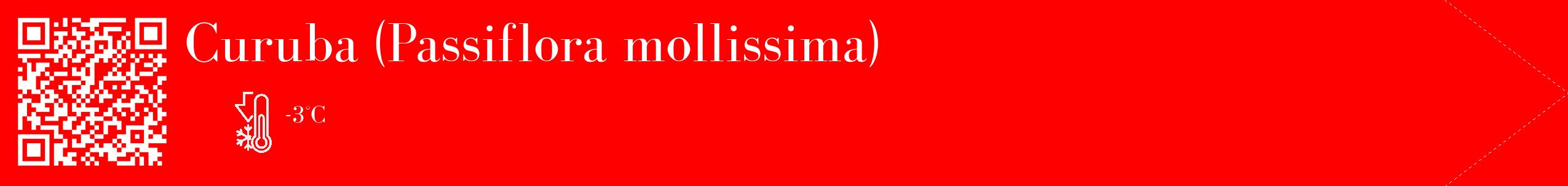 Étiquette de : Passiflora mollissima - format c - style blanche27_simple_simplebod avec qrcode et comestibilité