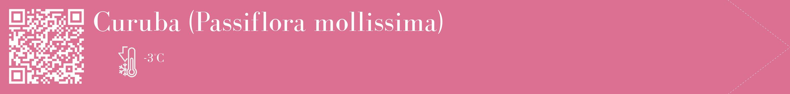 Étiquette de : Passiflora mollissima - format c - style blanche44_simple_simplebod avec qrcode et comestibilité