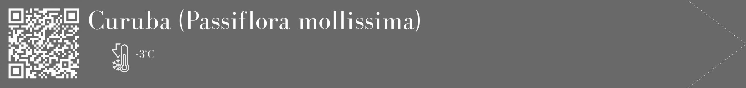 Étiquette de : Passiflora mollissima - format c - style blanche51_simple_simplebod avec qrcode et comestibilité