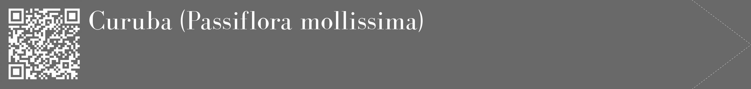 Étiquette de : Passiflora mollissima - format c - style blanche51_simple_simplebod avec qrcode et comestibilité