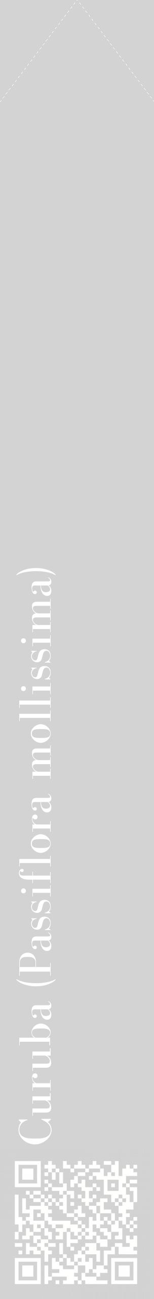 Étiquette de : Passiflora mollissima - format c - style blanche56_simplebod avec qrcode et comestibilité