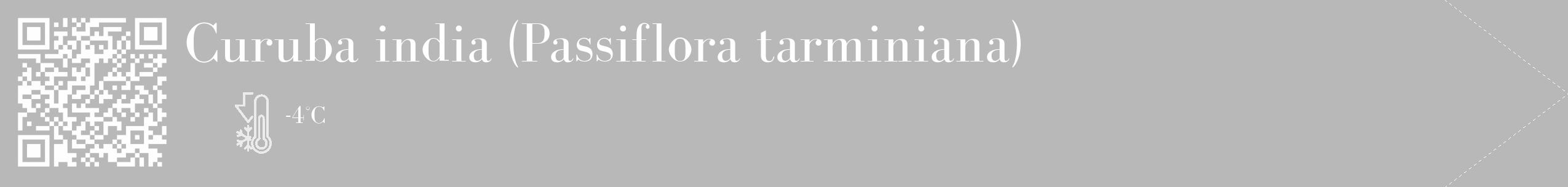 Étiquette de : Passiflora tarminiana - format c - style blanche39_simple_simplebod avec qrcode et comestibilité