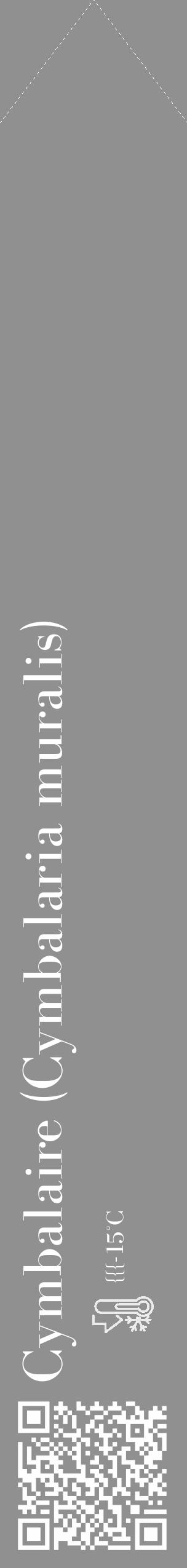 Étiquette de : Cymbalaria muralis - format c - style blanche4_simple_simplebod avec qrcode et comestibilité - position verticale