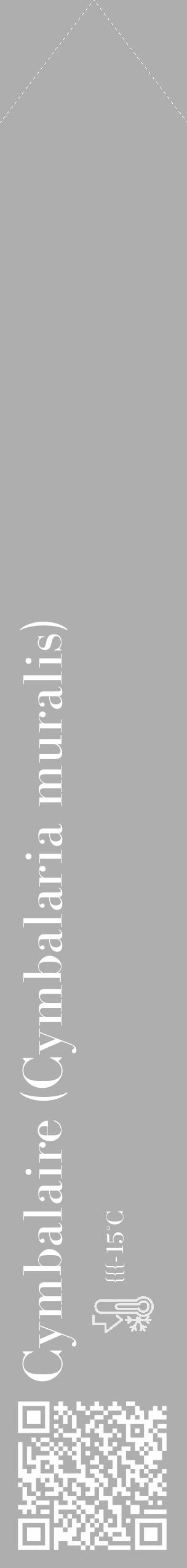 Étiquette de : Cymbalaria muralis - format c - style blanche53_simple_simplebod avec qrcode et comestibilité - position verticale