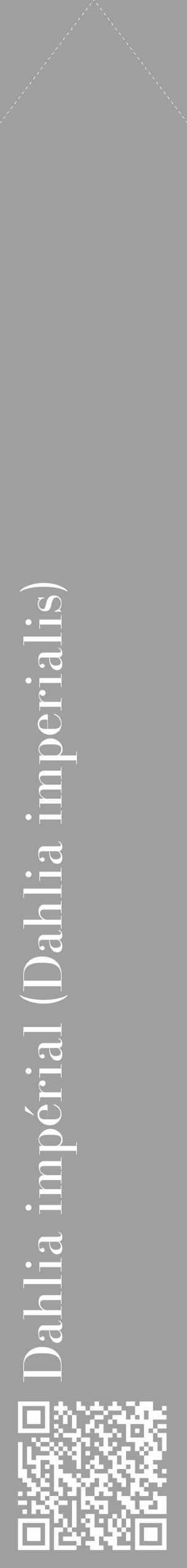 Étiquette de : Dahlia imperialis - format c - style blanche24_simple_simplebod avec qrcode et comestibilité - position verticale