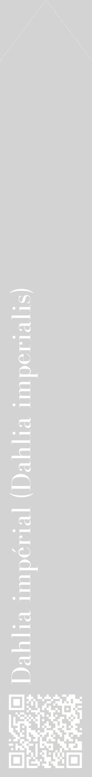 Étiquette de : Dahlia imperialis - format c - style blanche56_simplebod avec qrcode et comestibilité