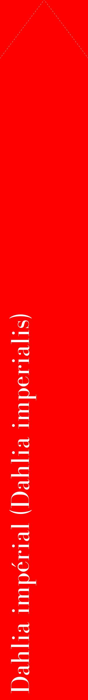 Étiquette de : Dahlia imperialis - format c - style blanche27_simplebod avec comestibilité