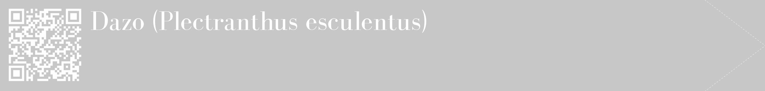 Étiquette de : Plectranthus esculentus - format c - style blanche15_simple_simplebod avec qrcode et comestibilité