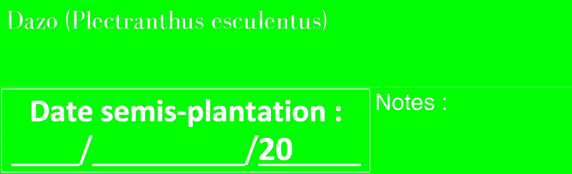 Étiquette de : Plectranthus esculentus - format c - style blanche16_basique_basiquebod avec comestibilité