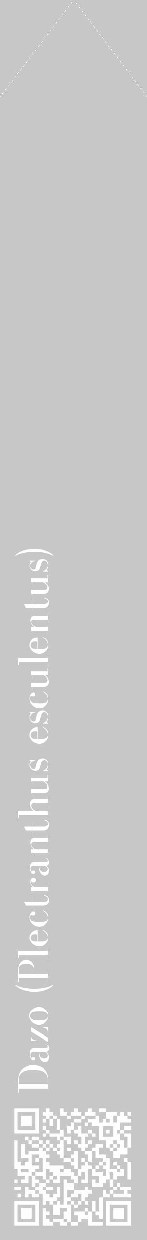 Étiquette de : Plectranthus esculentus - format c - style blanche15_simple_simplebod avec qrcode et comestibilité - position verticale