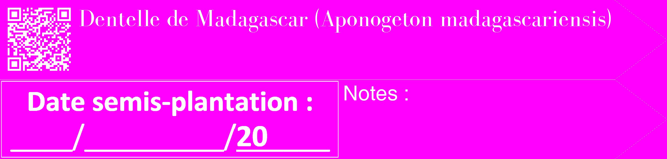 Étiquette de : Aponogeton madagascariensis - format c - style blanche51_simple_simplebod avec qrcode et comestibilité