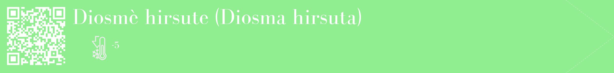 Étiquette de : Diosma hirsuta - format c - style blanche15_simple_simplebod avec qrcode et comestibilité