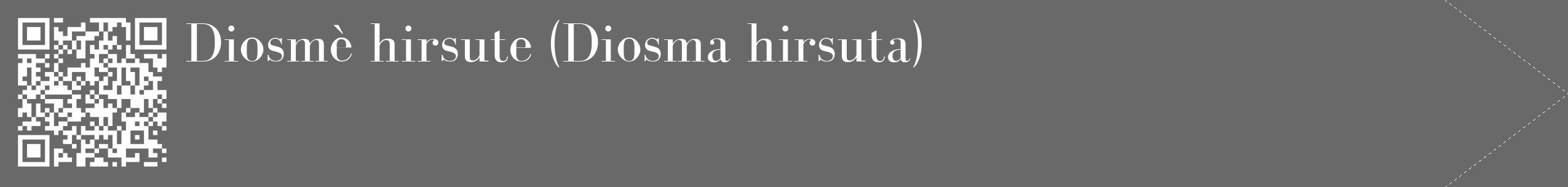 Étiquette de : Diosma hirsuta - format c - style blanche11_simple_simplebod avec qrcode et comestibilité