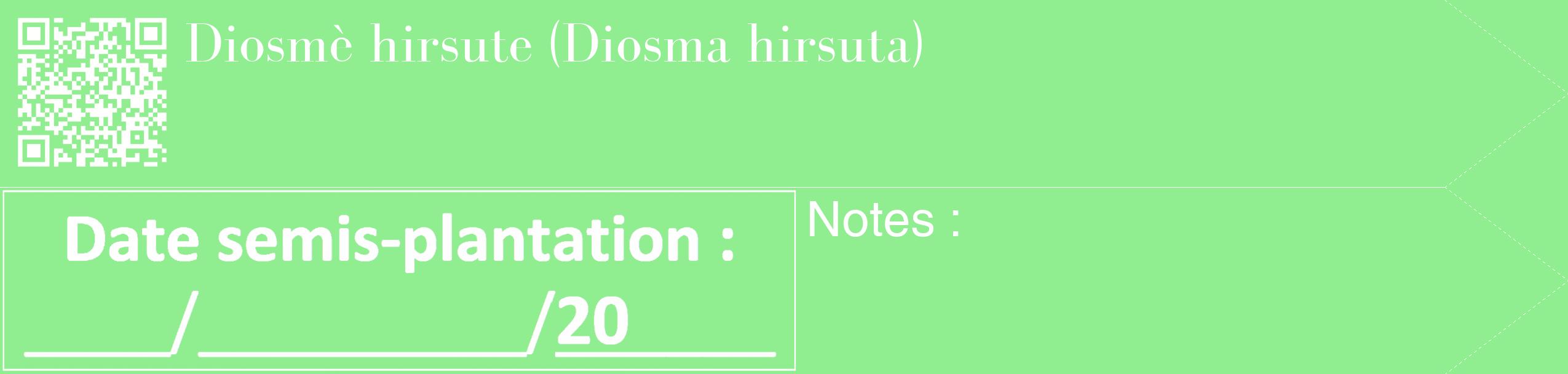Étiquette de : Diosma hirsuta - format c - style blanche15_simple_simplebod avec qrcode et comestibilité