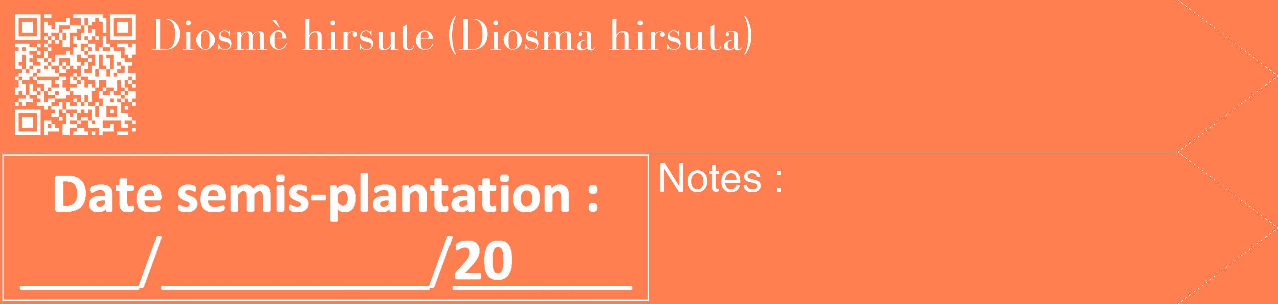 Étiquette de : Diosma hirsuta - format c - style blanche24_simple_simplebod avec qrcode et comestibilité
