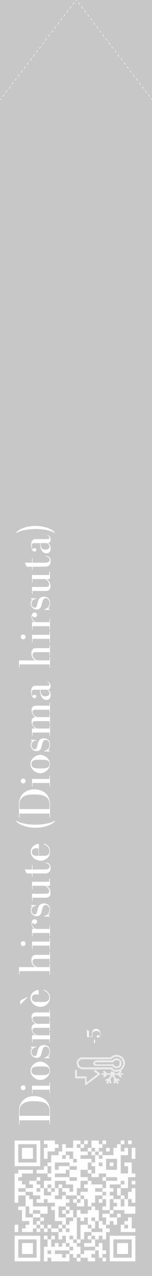 Étiquette de : Diosma hirsuta - format c - style blanche15_simple_simplebod avec qrcode et comestibilité - position verticale