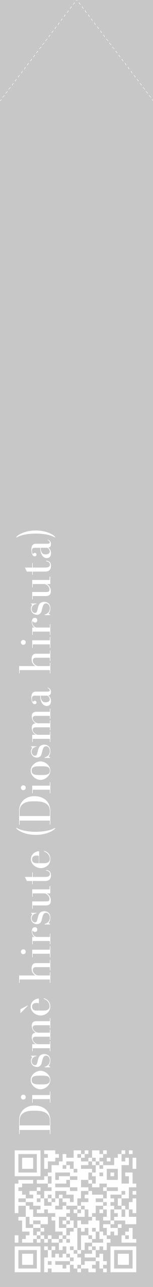 Étiquette de : Diosma hirsuta - format c - style blanche15_simple_simplebod avec qrcode et comestibilité - position verticale