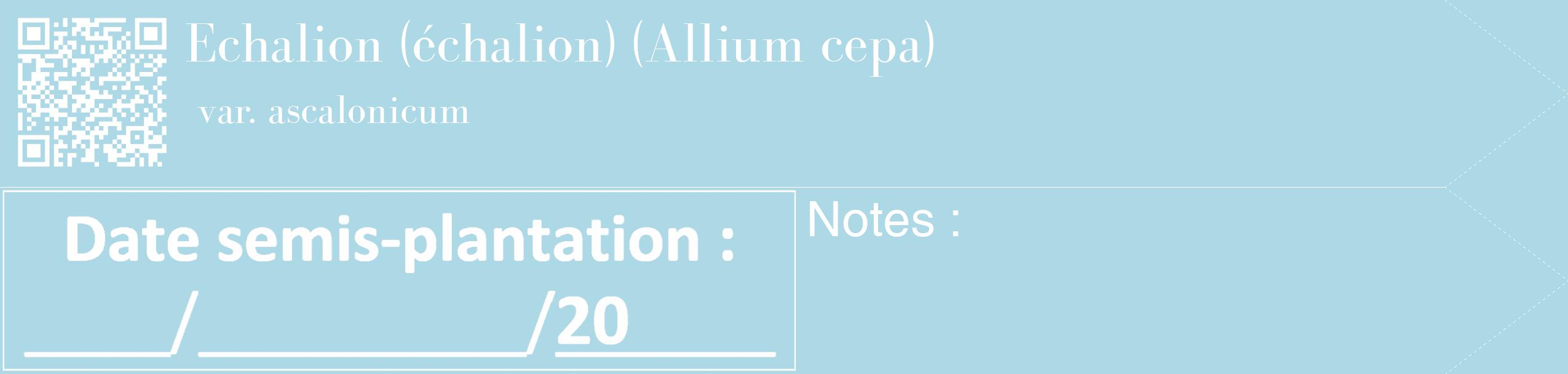 Étiquette de : Allium cepa var. ascalonicum - format c - style blanche0_simple_simplebod avec qrcode et comestibilité