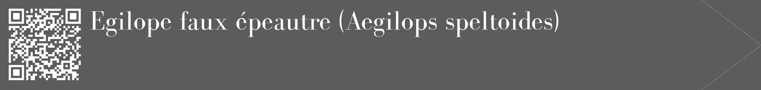 Étiquette de : Aegilops speltoides - format c - style blanche49_simple_simplebod avec qrcode et comestibilité