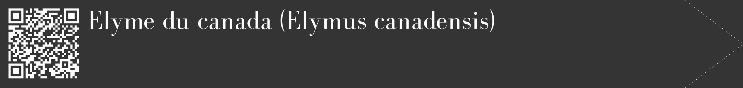 Étiquette de : Elymus canadensis - format c - style blanche46_simple_simplebod avec qrcode et comestibilité