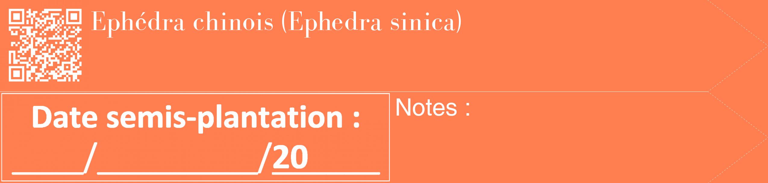 Étiquette de : Ephedra sinica - format c - style blanche24_simple_simplebod avec qrcode et comestibilité