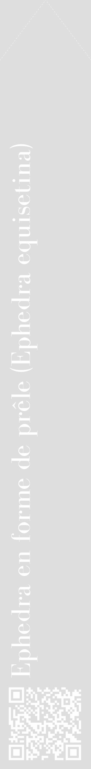 Étiquette de : Ephedra equisetina - format c - style blanche20_simple_simplebod avec qrcode et comestibilité - position verticale