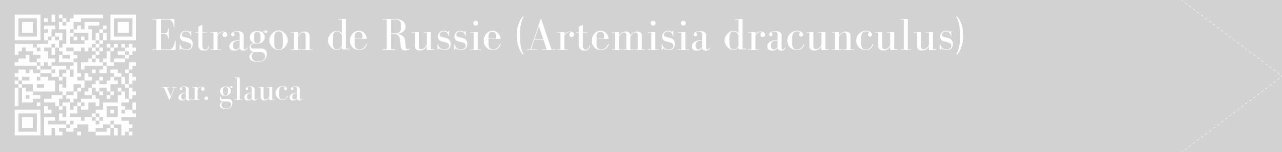 Étiquette de : Artemisia dracunculus var. glauca - format c - style blanche14_simple_simplebod avec qrcode et comestibilité