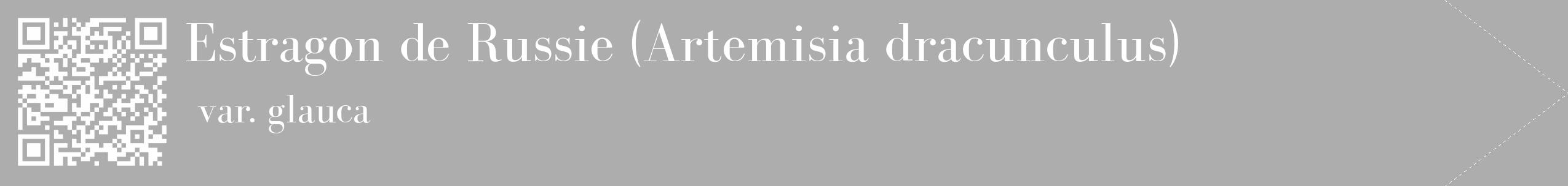 Étiquette de : Artemisia dracunculus var. glauca - format c - style blanche22_simple_simplebod avec qrcode et comestibilité