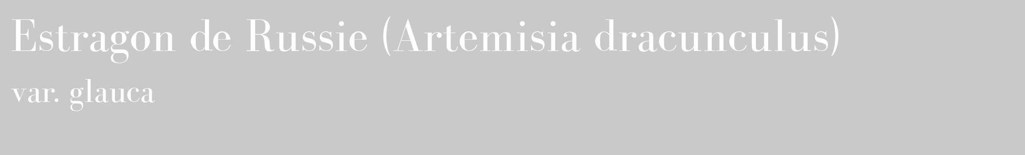 Étiquette de : Artemisia dracunculus var. glauca - format c - style blanche54_basique_basiquebod avec comestibilité