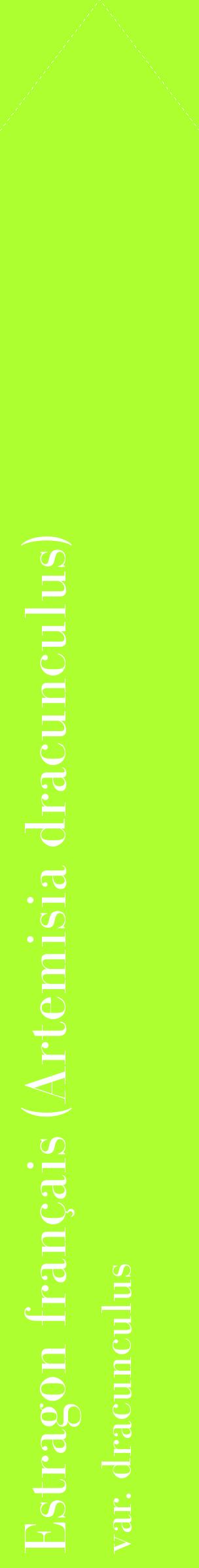 Étiquette de : Artemisia dracunculus var. dracunculus - format c - style blanche17_simplebod avec comestibilité
