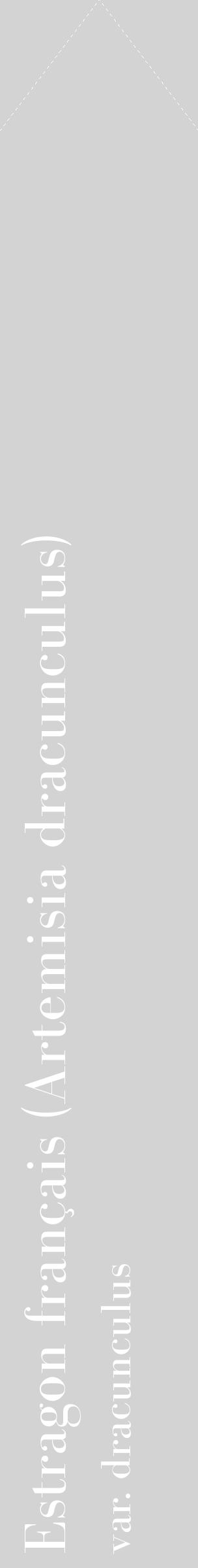 Étiquette de : Artemisia dracunculus var. dracunculus - format c - style blanche56_simplebod avec comestibilité