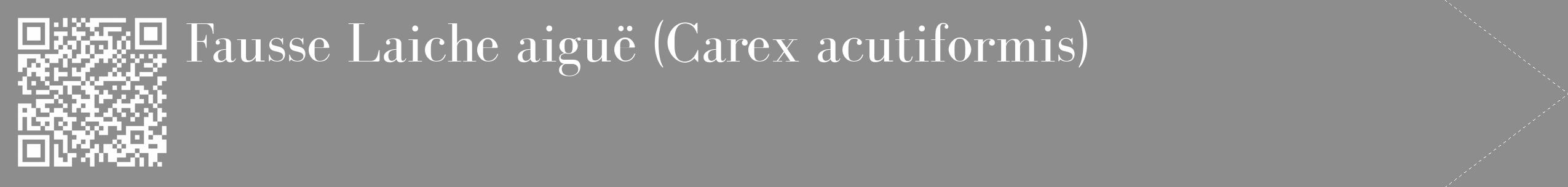 Étiquette de : Carex acutiformis - format c - style blanche2_simple_simplebod avec qrcode et comestibilité