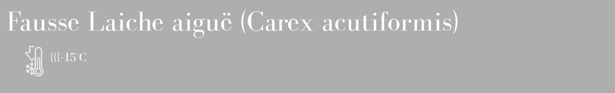 Étiquette de : Carex acutiformis - format c - style blanche53_basique_basiquebod avec comestibilité