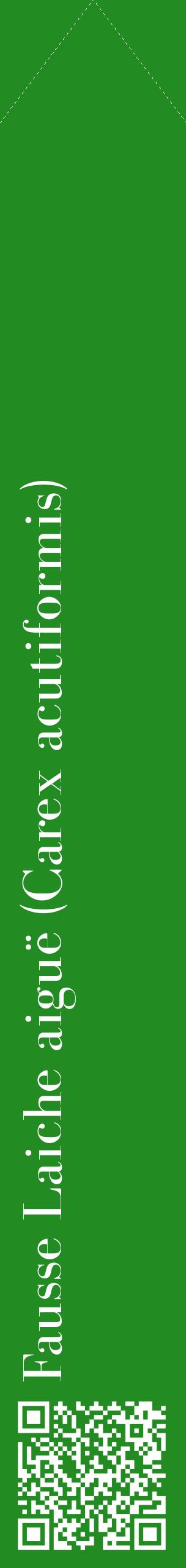 Étiquette de : Carex acutiformis - format c - style blanche10_simplebod avec qrcode et comestibilité